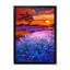 Champs de lavande au coucher du soleil - On-1832934018-1832934023