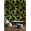 Papier peint oiseaux tropicaux Toucan-823732130