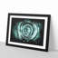 Mint Green Rose - Picture Frame Graphic Art Print-56735471-56735469