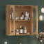 Wall Mounted Required Bathroom Cabinet-2021040565