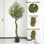 180cm Faux Olive Tree Tree in Pot
