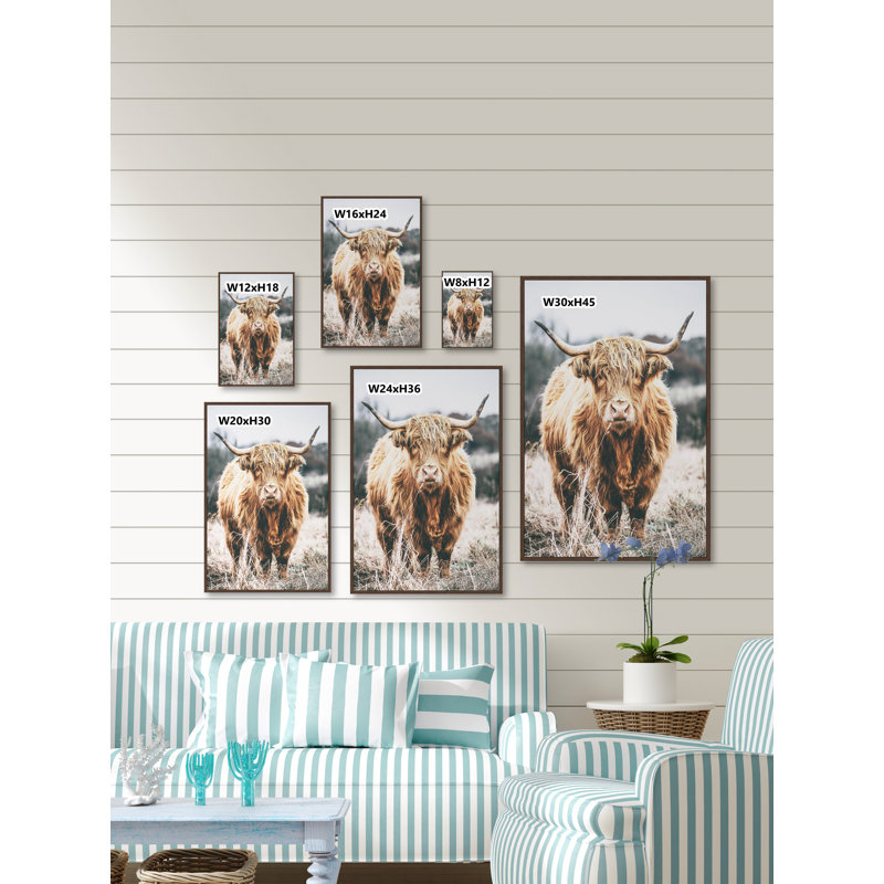 «Scottish Highland C best» par Marmont Hill - reproduction à cadre flottant, L 20 po x H 30 po, Toile, Pas de tapis