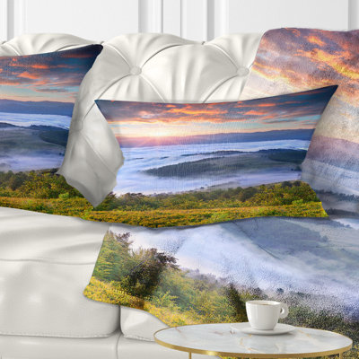 Throw Pillow