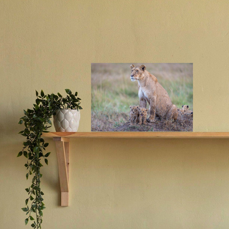 Savanna Lion Family Contemporary Cat Lion Nature Wildlife Wall Art Print by Jeffrey C. Sink - 1 Piece Wrapped Canvas Wall Art
