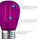 0.5 Watt S14 LED Coloured String Light Bulb, Purple and Orange, E26/Medium (Standard) Base