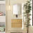 Zykaria 24'' Single Bathroom Vanity with Ceramic Top-284218582-284218581