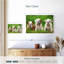 Chiots bouledogue anglais