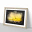 Seagull Flying Over The Beach - Picture Frame Graphic Art-56876836-56876838
