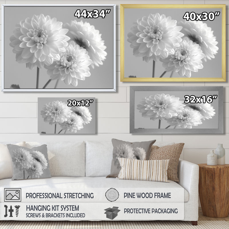 Monochromes blanc noir maman botanique beauté II - décoration murale mamans, H 12 po x l 20 po