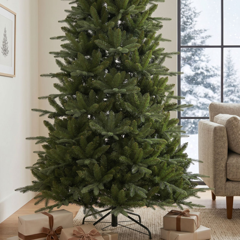 Essential Campbridge Spruce - 7.5'