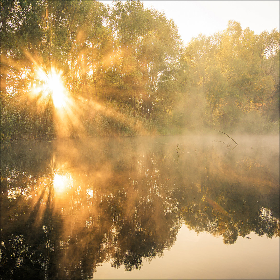 Sun At The Pond – Rahmenloser Kunstdruck auf Floatglas