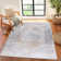 Oriental Area Rug