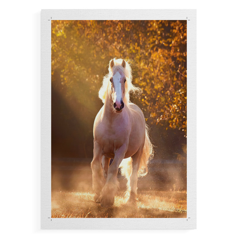 Chevaux de cheval - impression sur toile seulement - non encadrée, H 48 po x l 32 po