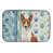 Basenji rouge et blanc