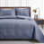 Bluish Gray