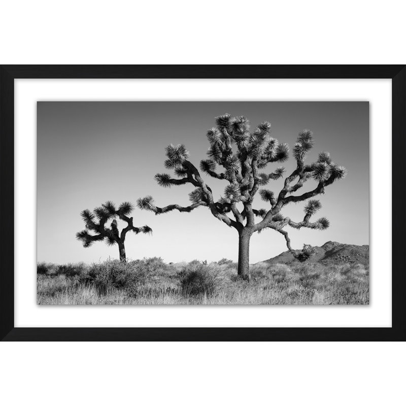 Desert Dusk 3 Print by Christopher Kennedy