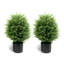 arbre en forme de cèdre artificiel