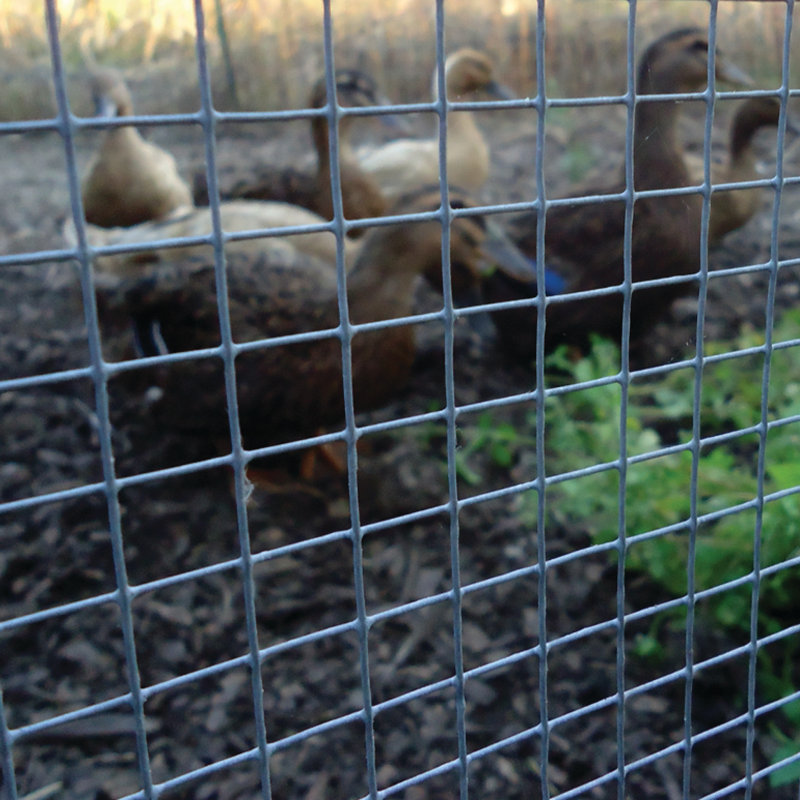 Silver Metal Fencing, 4 ft. H x 100 ft. W