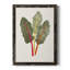 Organic Veg V - reproduction de cadre photo sur toile-369204831-369204828