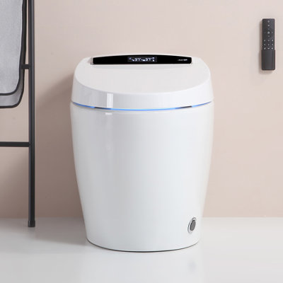 LEPUDAY 1.28 Gallons GPF Elongated Floor Mounted Bidet Toilet (Seat Included)