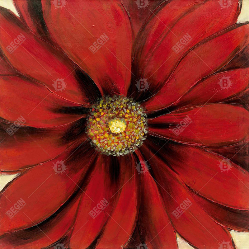 Toile botanique «Red Daisy» | Art encadré rouge pour la décoration intérieure