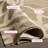 Arneshia Floral Brown Indoor / Outdoor Area Indoor/Outdoor Area Rug-75788837