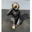 Statue boozy chimpanzé