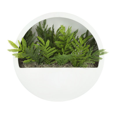Outdoor UV Rated Ferns in Hanging Fiberstone Planter