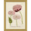 Flora In Pink 3 by Soicher Marin Archives