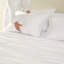 Ensemble de housse de couette et taies décoratives 100% rayonne de bambou-2056839627-2056839631