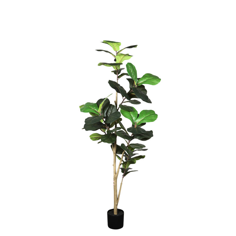 Figuier artificiel 6 pi 6 pi: fausse plante d'intérieur avec pot noir pour décoration de bureau