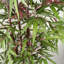 180cm Faux Tree in Pot Liner