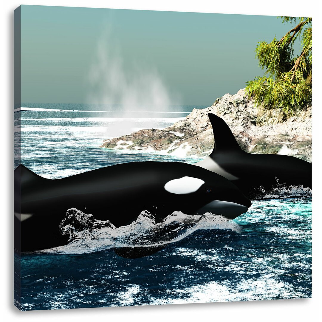 Leinwandbild Orcas vor Insel