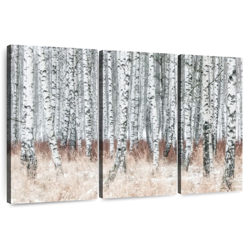 Alvord Winter Birch Grove, 28" H x 45" W