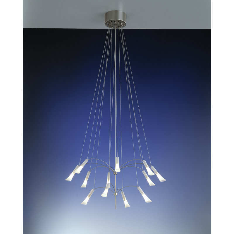 Tayler 12 - Light Cluster Pendant