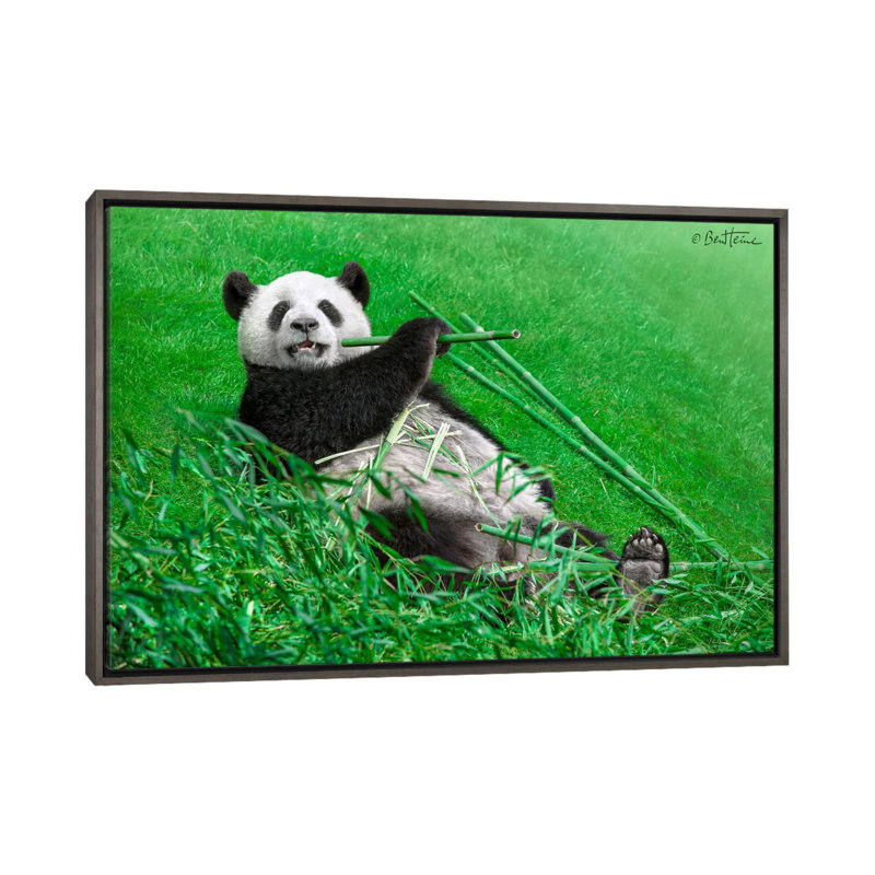 « Funny Panda » par Ben Heine-reproduction de photo, Pas de tapis, H 18 po x l 26 po x P 1,5 po