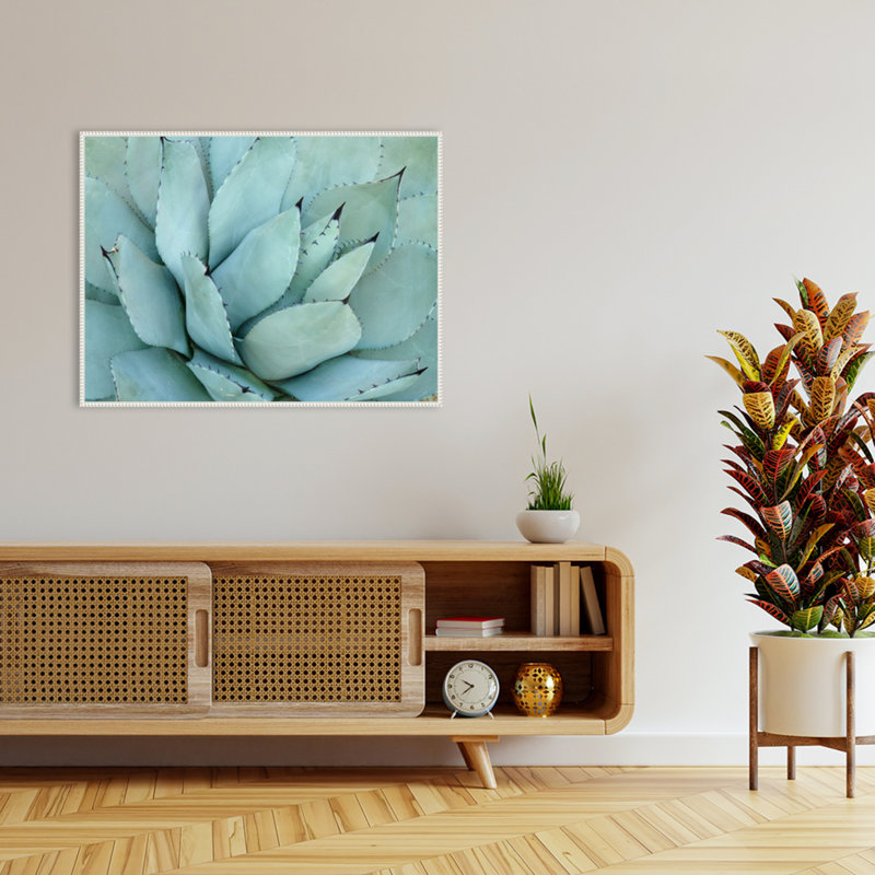 «Agave Détail IV» par Brittany Evans, reproduction d'art sur toile encadrée, H 32 po x l 42 po