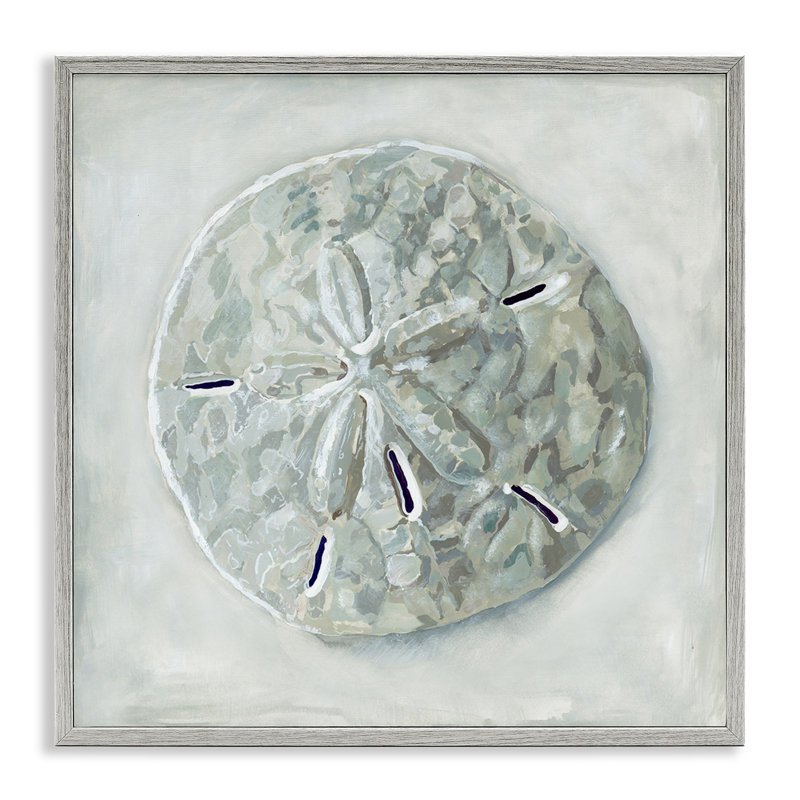 Gray Framed Sand Dollar Seashell Canvas Print, 13 x 18 in