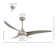 Coleigh 52'' Ceiling Fan with LED Lights