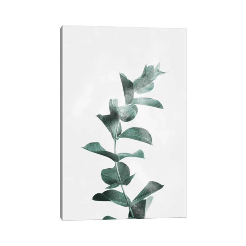 Misty Eucalyptus by Marcus Prime - Gallery-Wrapped Canvas Giclée on Canvas, No Frame, 101.6 cm H x 66.04 cm W x 1.91 cm D