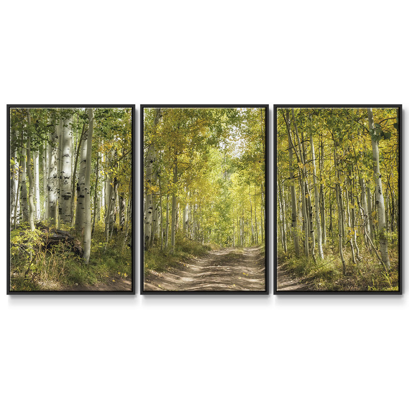 3 pièces Aspen Drive, Noir, H 24 po x l 48 po x P 2 po