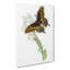 Caterpillar & Butterfly by George Shaw - Wrapped Canvas-55371270