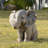 Sitting Baby Elephant W/Trunk Up