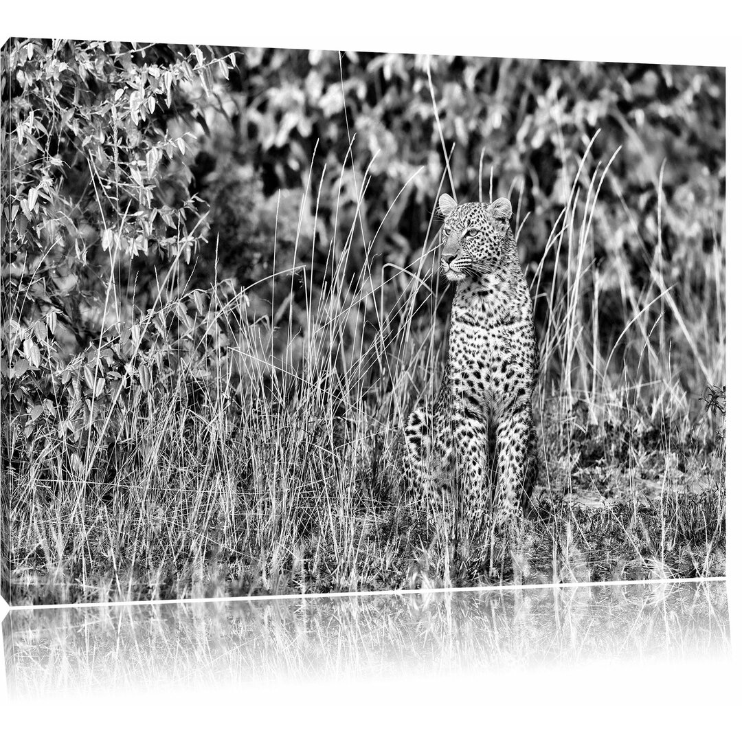 Leinwandbild Anmutiger Leopard im hohen Gras in Monochrom