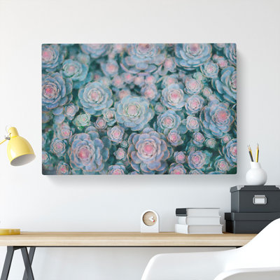 Succulent Plants Abstract - Wrapped Canvas Painting
