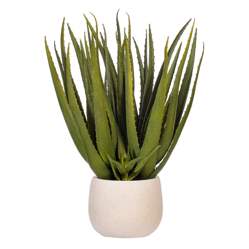19.5'' Faux Succulent in Pot