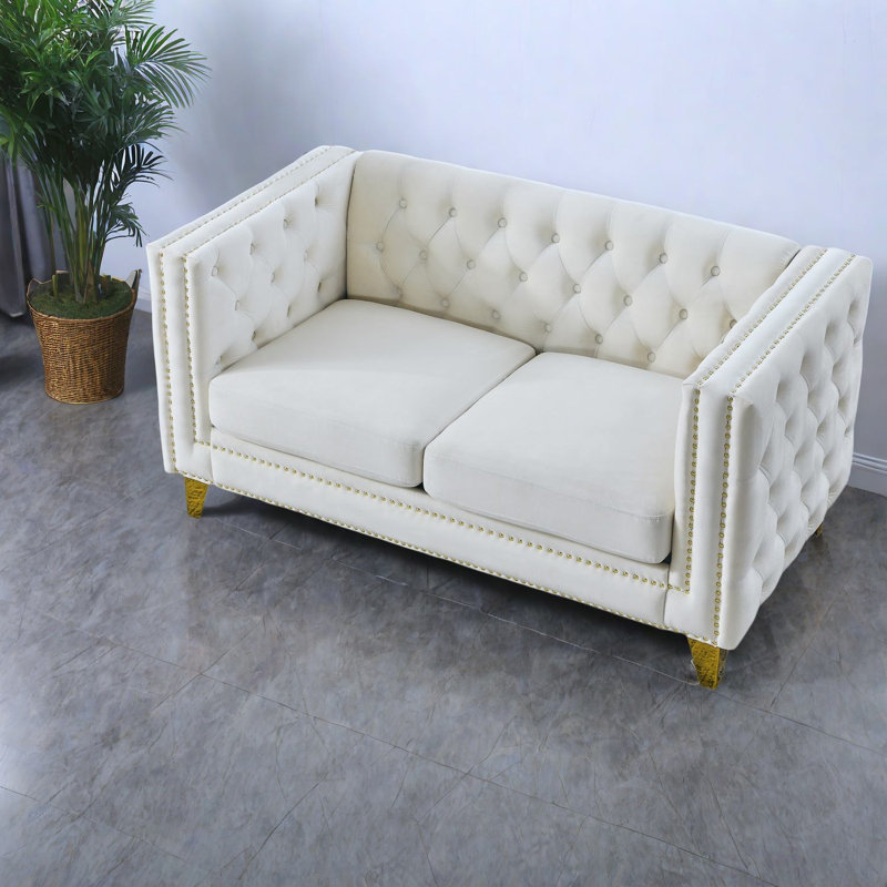 Canapés spacieux en velours, design beige classique pour les salons