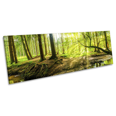 Forest River Creek Sunset Panoramic - Wrapped Canvas Print
