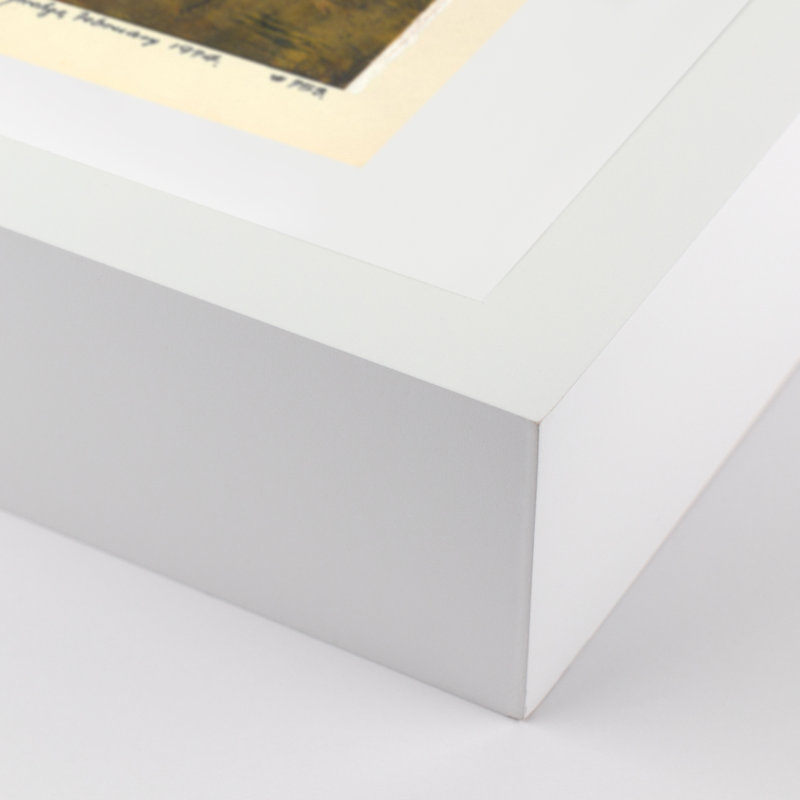 Experminet II Print by Pepi Sprohge, 40" H x 48" W x 2.5" D, White/Neutral Single Picture Framed