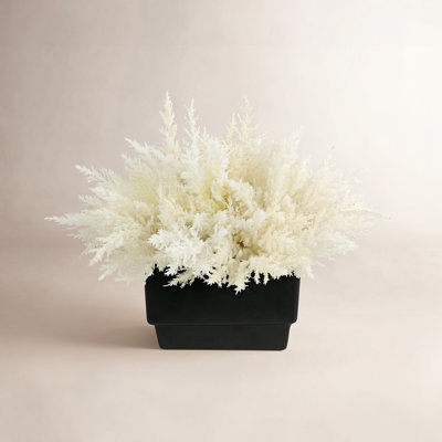 Pampas Floral Arrangement